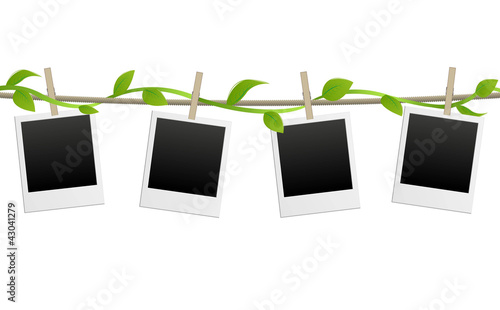 vector blank photo frames with creeper