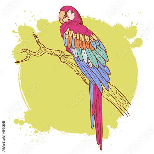 Colorful hand drawn ara parrot sitting on a tree brunch isolated