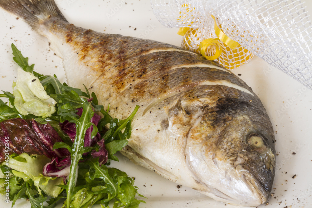 Dorada fish with salad on the white plate. Studio shot Dorada fish with salad on the white plate. Studio shot