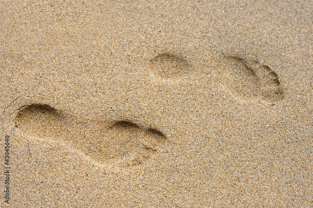 Footprints in the Sand Footprints in the Sand