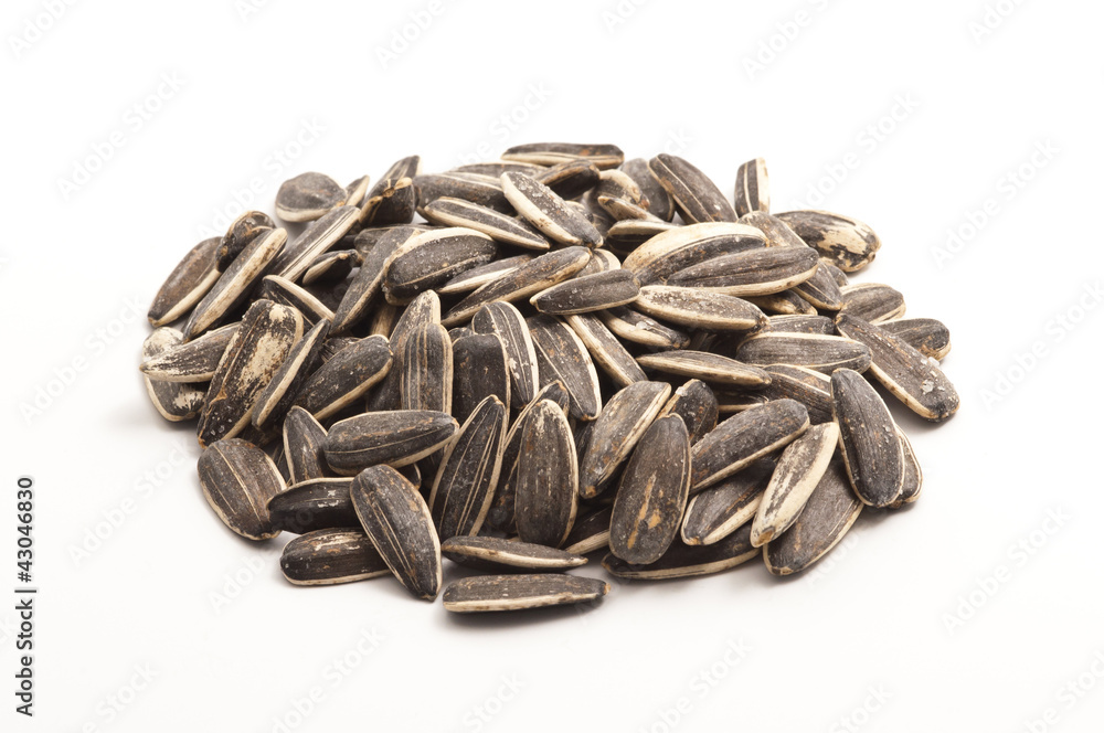 Sunflower Seeds Pile Sunflower Seeds Pile