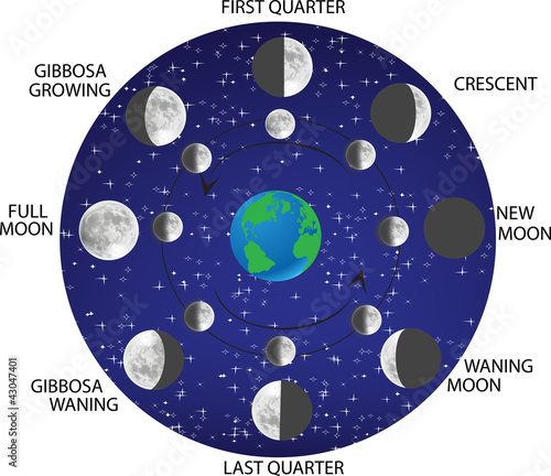 fasi lunari