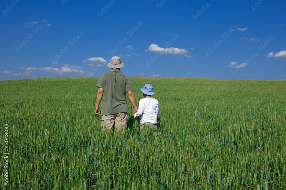 Father and son walking in a wheat field hand to hand Father and son walking in a wheat field hand to hand