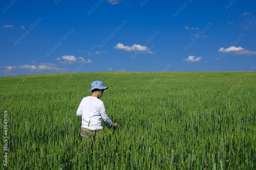 Little child with hat enjoying wheat field on a sunny day Little child with hat enjoying wheat field on a sunny day