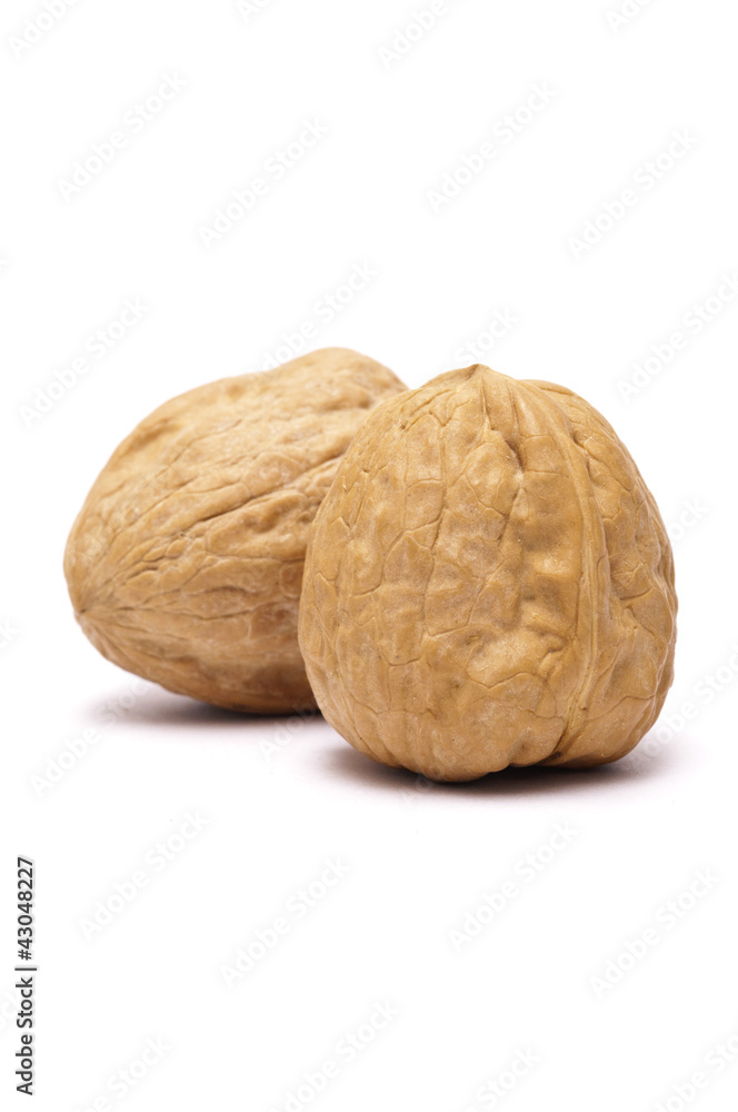 Walnut Walnut