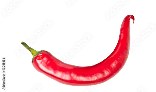 Photos red hot chili peppers