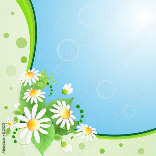 Summer background with flowers