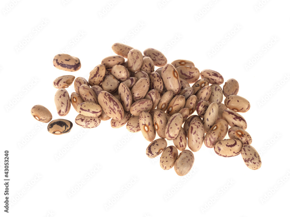 Obraz premium Burlotti Beans