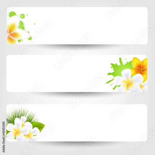 Fototapeta Naklejka Na Ścianę i Meble -  Banners With Flowers Frangipani