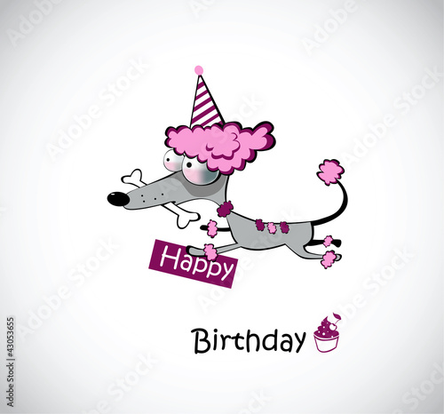 Birthday poodle