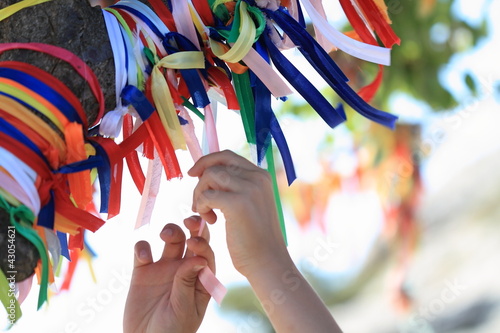 Photography Wish tree