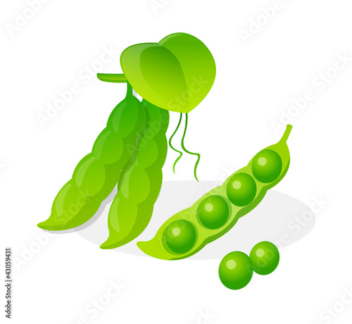 Schilderij op canvas vector icon bean