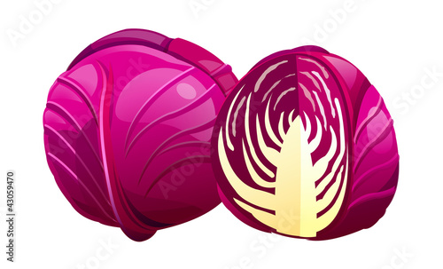 vector icon cabbage
