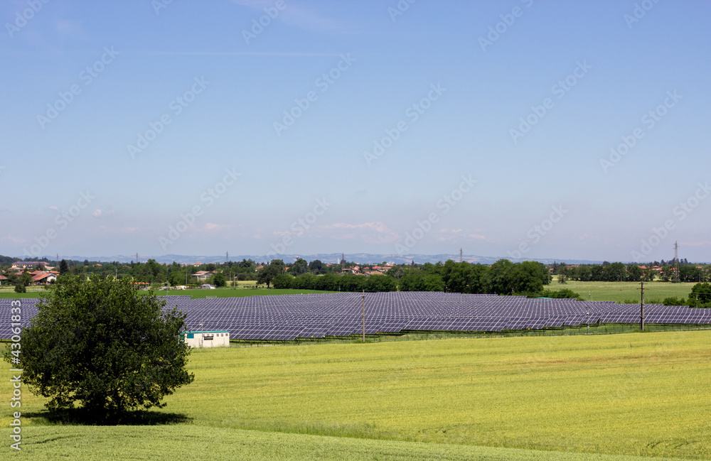 solar power plant in a meadow