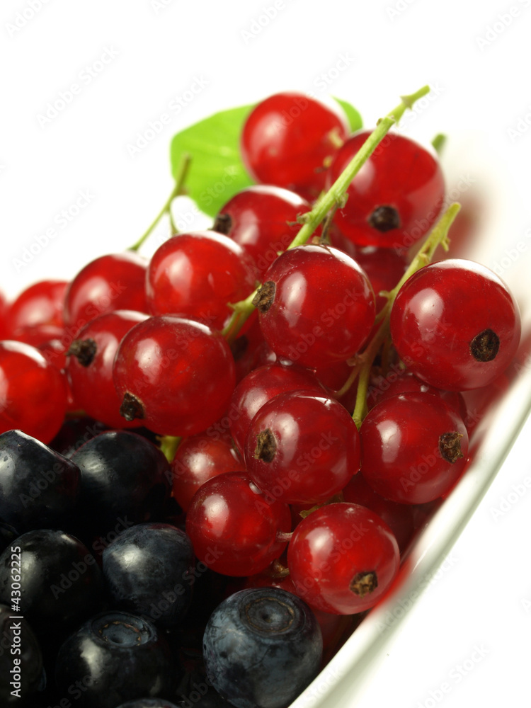 Red currant with blueberries Red currant with blueberries