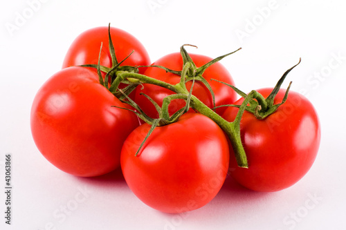 branch of red tomatoes on a white background