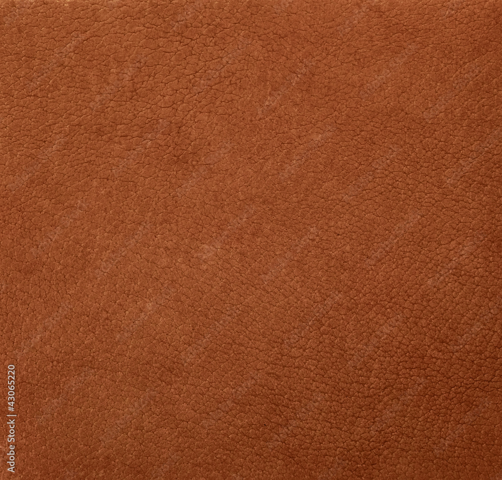 Fototapeta premium Unnatural leather