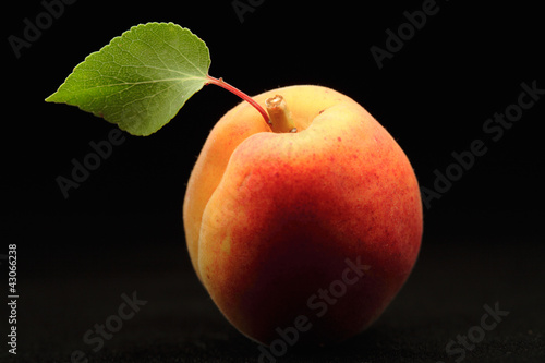 One apricot with a leaf on black background