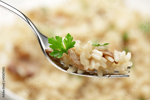 Cep Risotto  on a fork photo