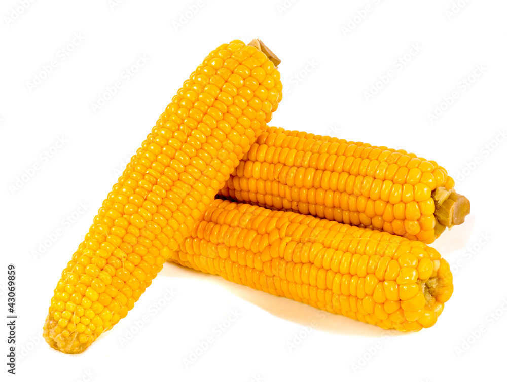 Fresh corns Fresh corns