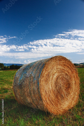 Botte de foin photo