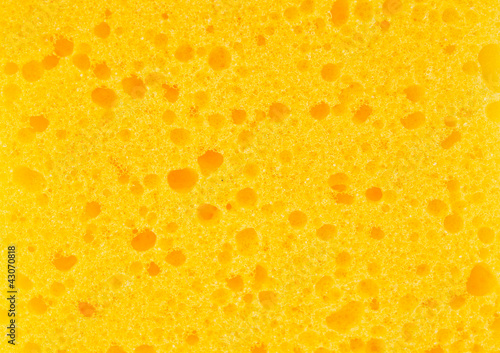 Sponge texture background