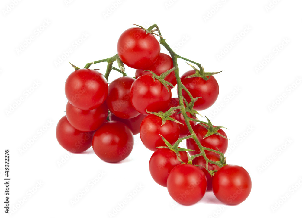 cherry tomatoes isolated cherry tomatoes isolated