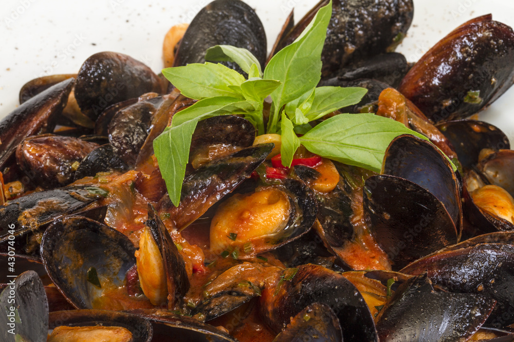 close up on mussels on white background close up on mussels on white background