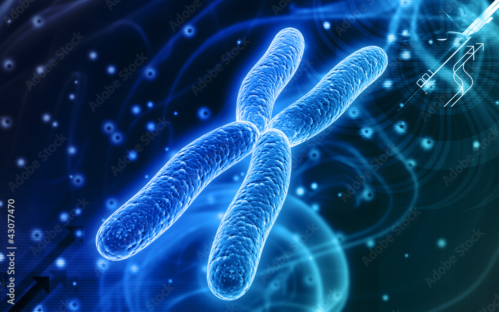 chromosome chromosome