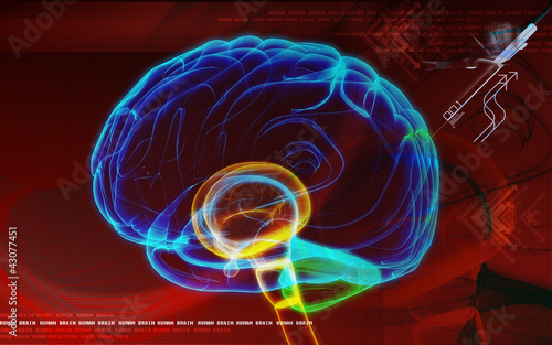 Tableau sur toile human brain