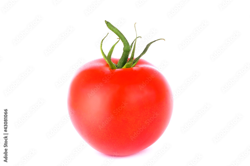 Fresh tomato Fresh tomato