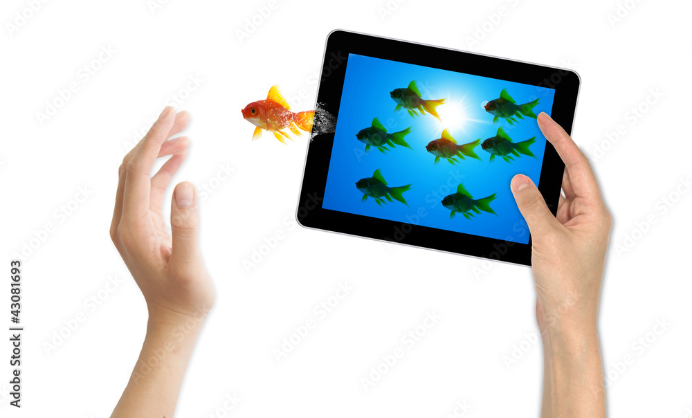 goldfish leader on white background, unique and diffrent busines