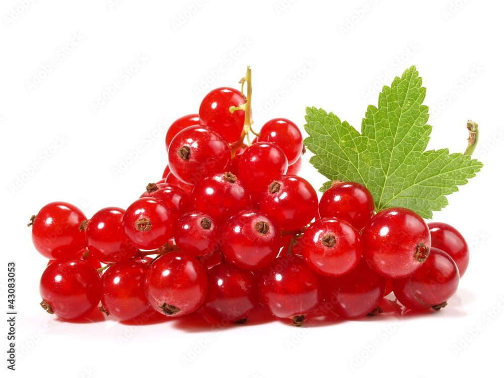 Johannisbeeren - rot Johannisbeeren - rot