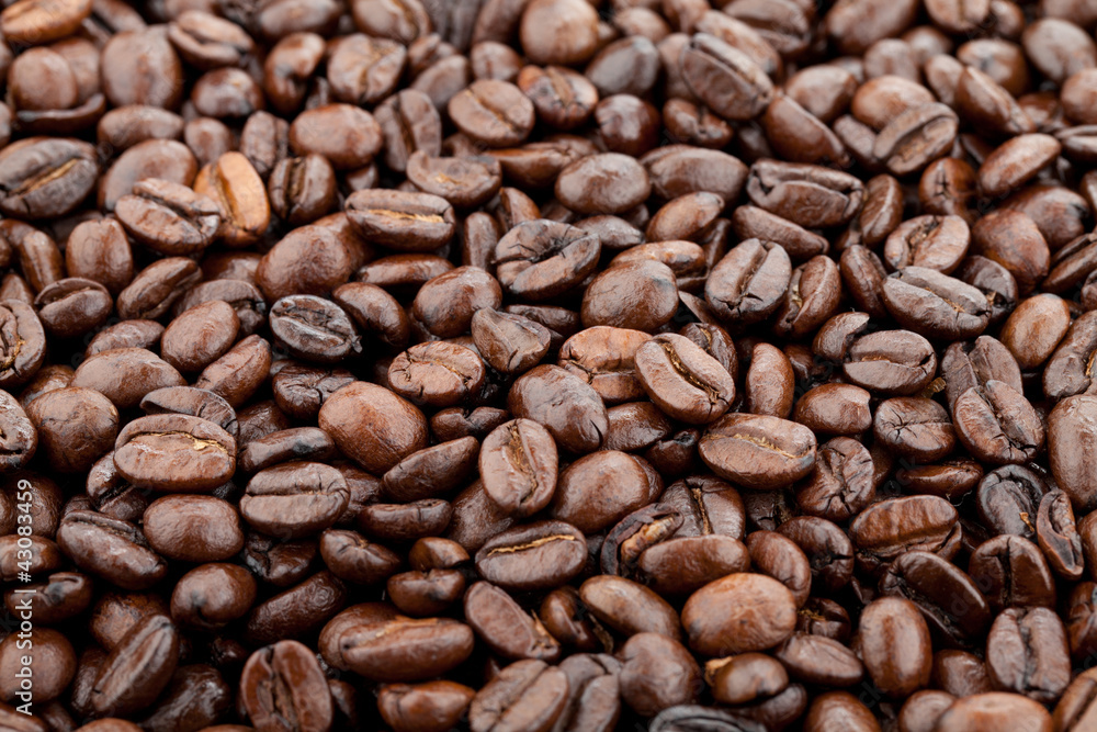 Fototapeta premium Coffee beans