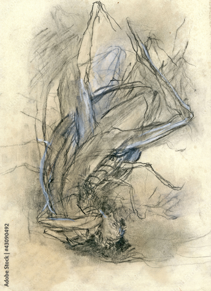 Fototapeta premium franz kafka theme - the metamorphosis