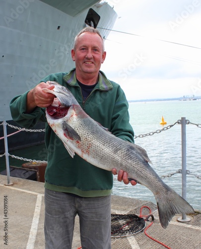 Large Seabass 13lb 2oz