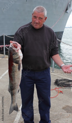 Large Seabass, 13lb 2oz photo