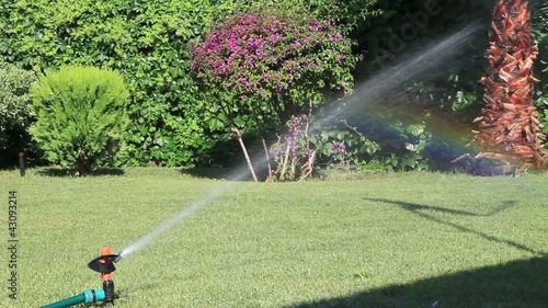 irrigation of the grass photo