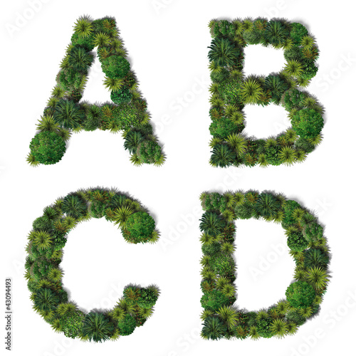 Green alphabet letters 