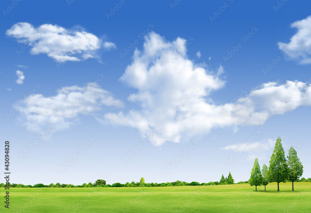 Beautiful landscape with tree,  grass green field,forrest  and b