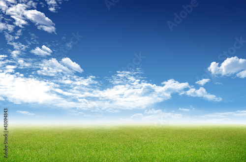 sunny green grass field with blue sky background