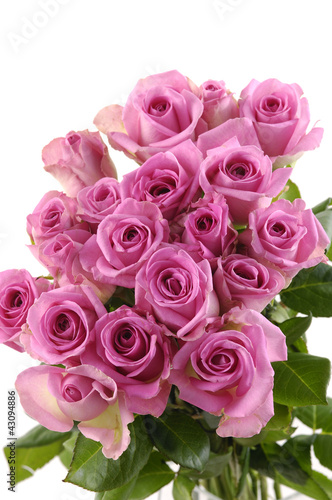 Bouquet of pink rose flower
