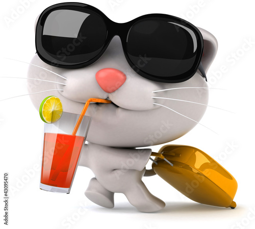 Fototapeta Naklejka Na Ścianę i Meble -  Fun cat