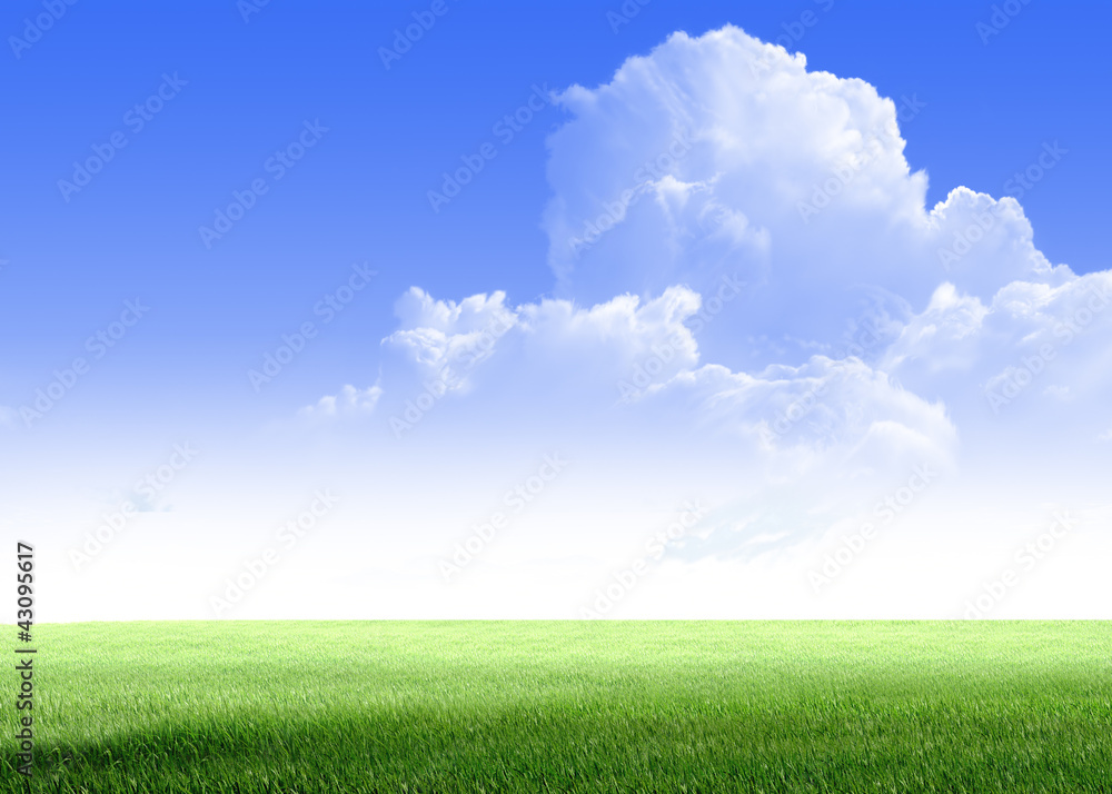 Fototapeta premium see 