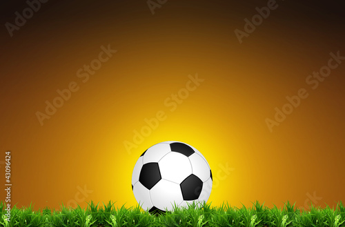 Classic soccer ball on green grass