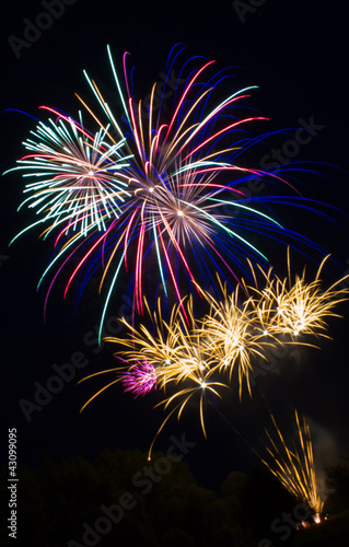 Feu d artifice palmier