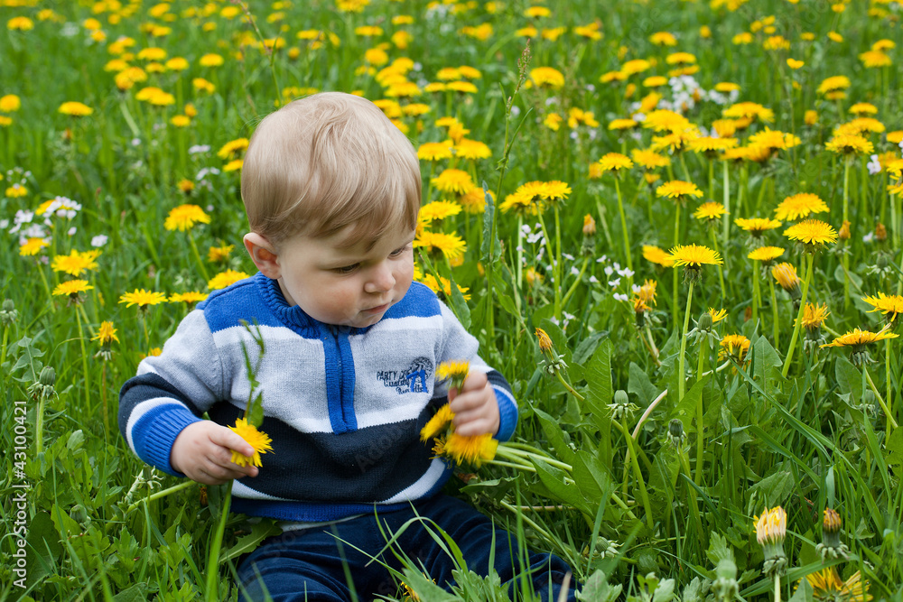 Small baby boy in yellow dandelion field summer Small baby boy in yellow dandelion field summer