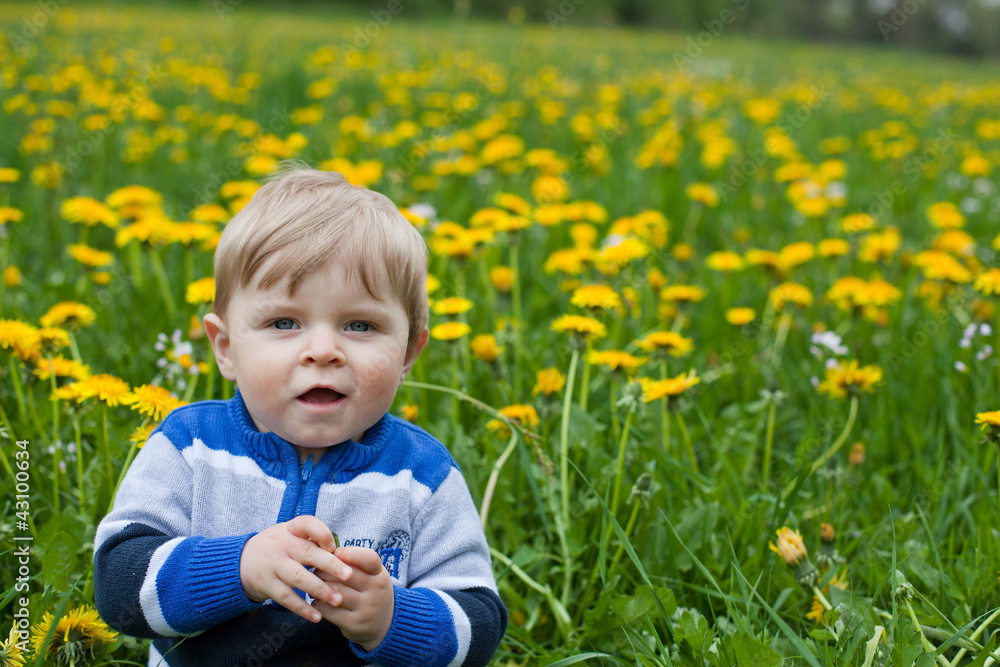 Sweet baby boy in yellow dandelion field summer Sweet baby boy in yellow dandelion field summer