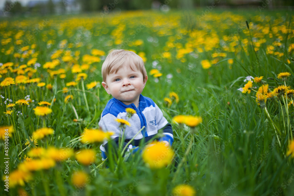 Adorable toddler boy in yellow flowers field Adorable toddler boy in yellow flowers field