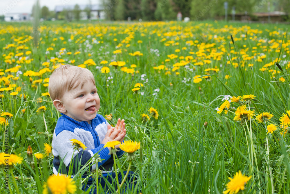 Adorable baby in blue in yellow dandelion field summer Adorable baby in blue in yellow dandelion field summer